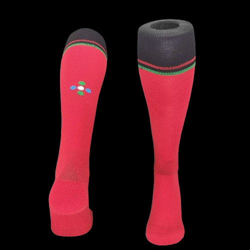 Portugal Chaussettes Domicile 24/25