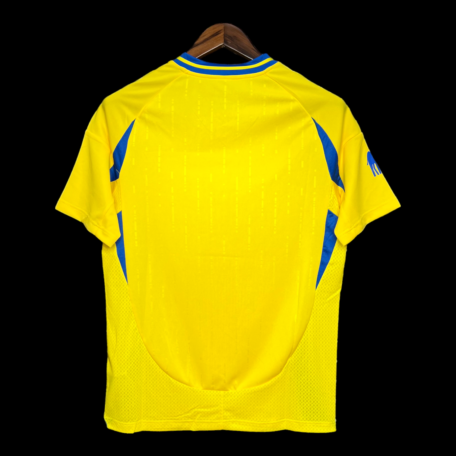 Al Nassr Maillot Domicile 24/25