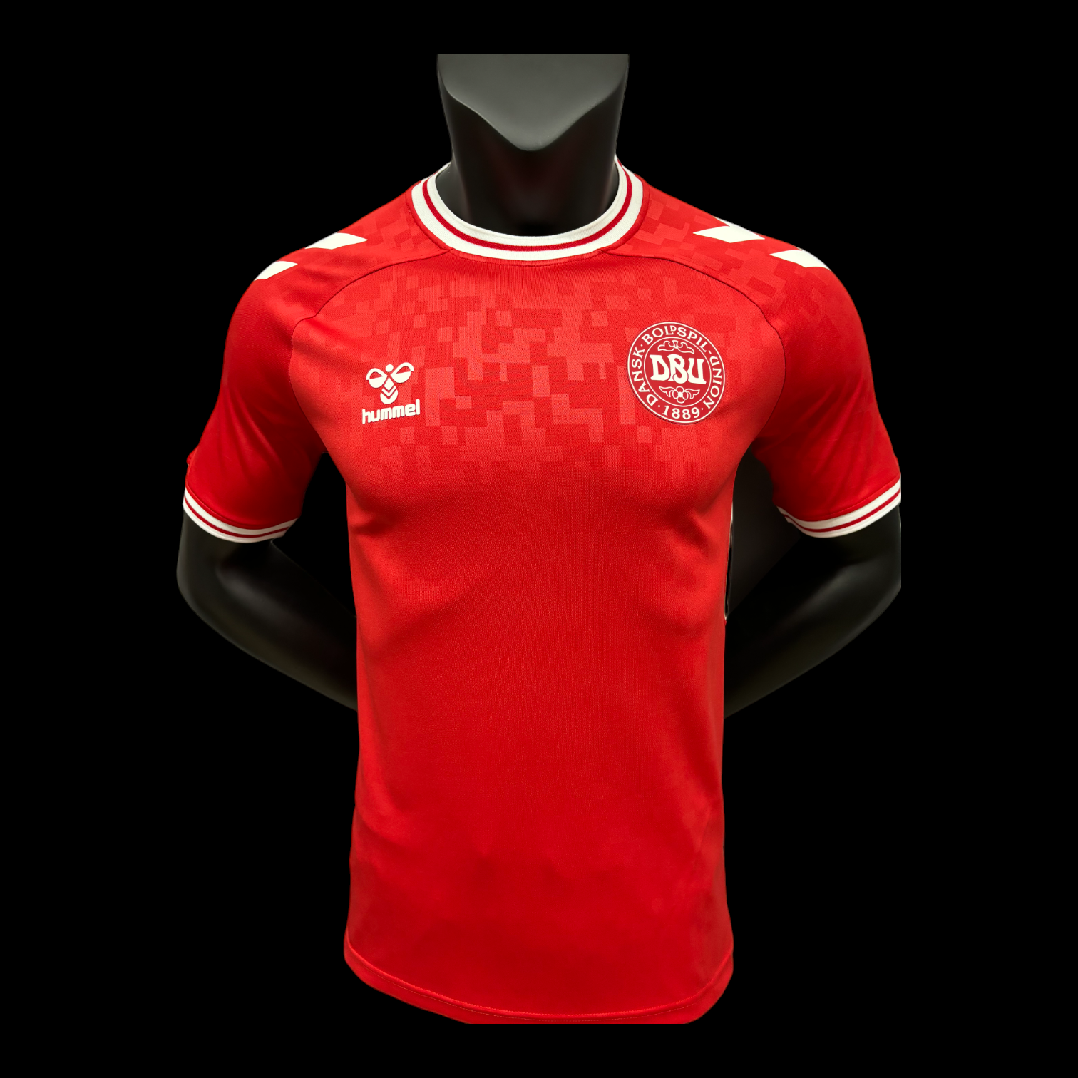 Danemark Maillot Domicile 24/25 - Version Player