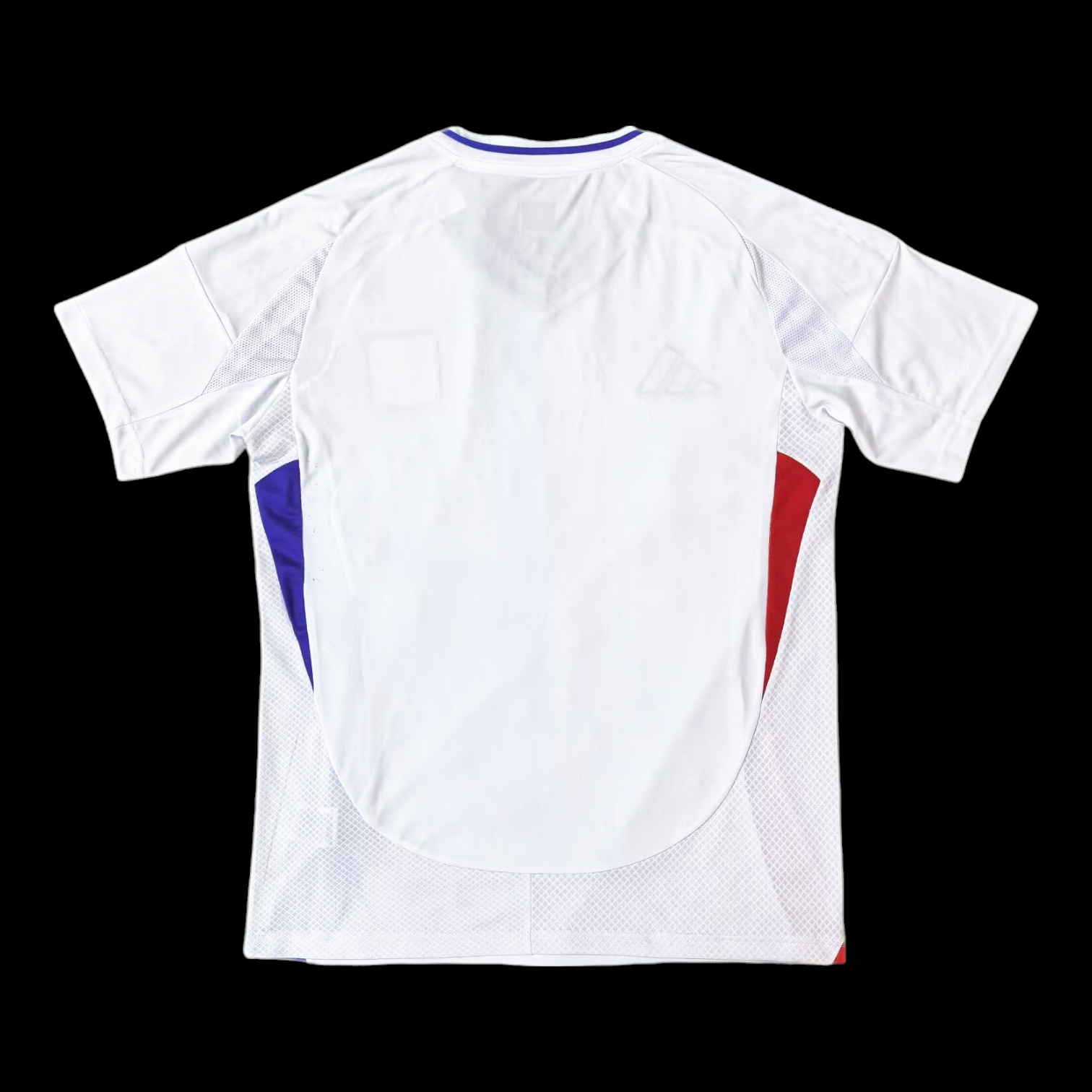 Lyon Maillot Domicile 24/25