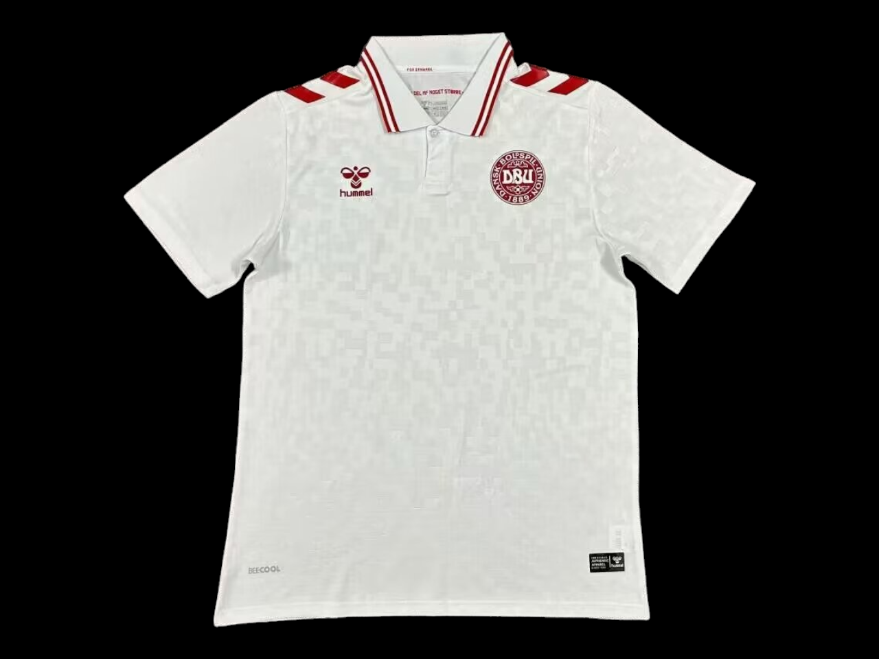 Danemark Maillot Extérieur 24/25