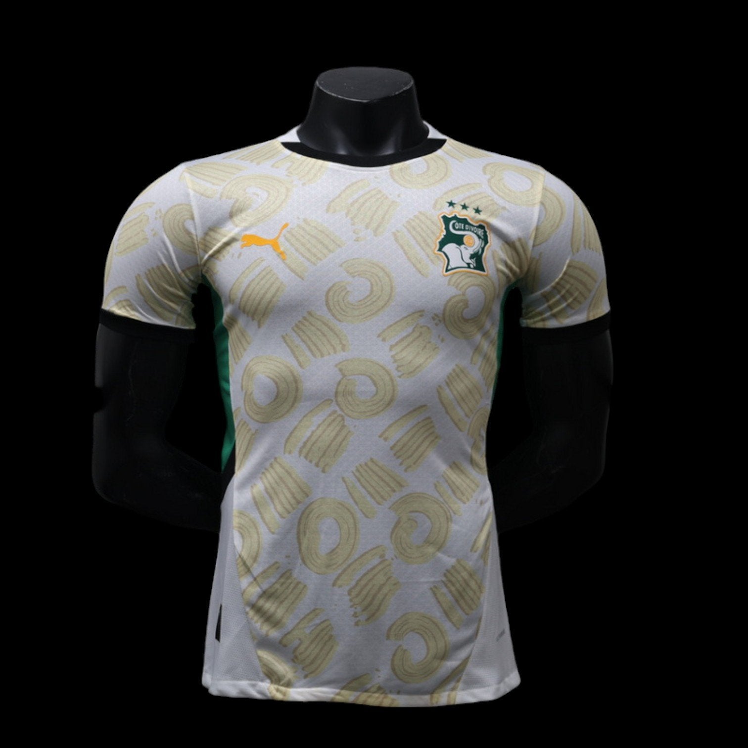 Cote d'Ivoire Maillot Extérieur 24/25 - Version Player