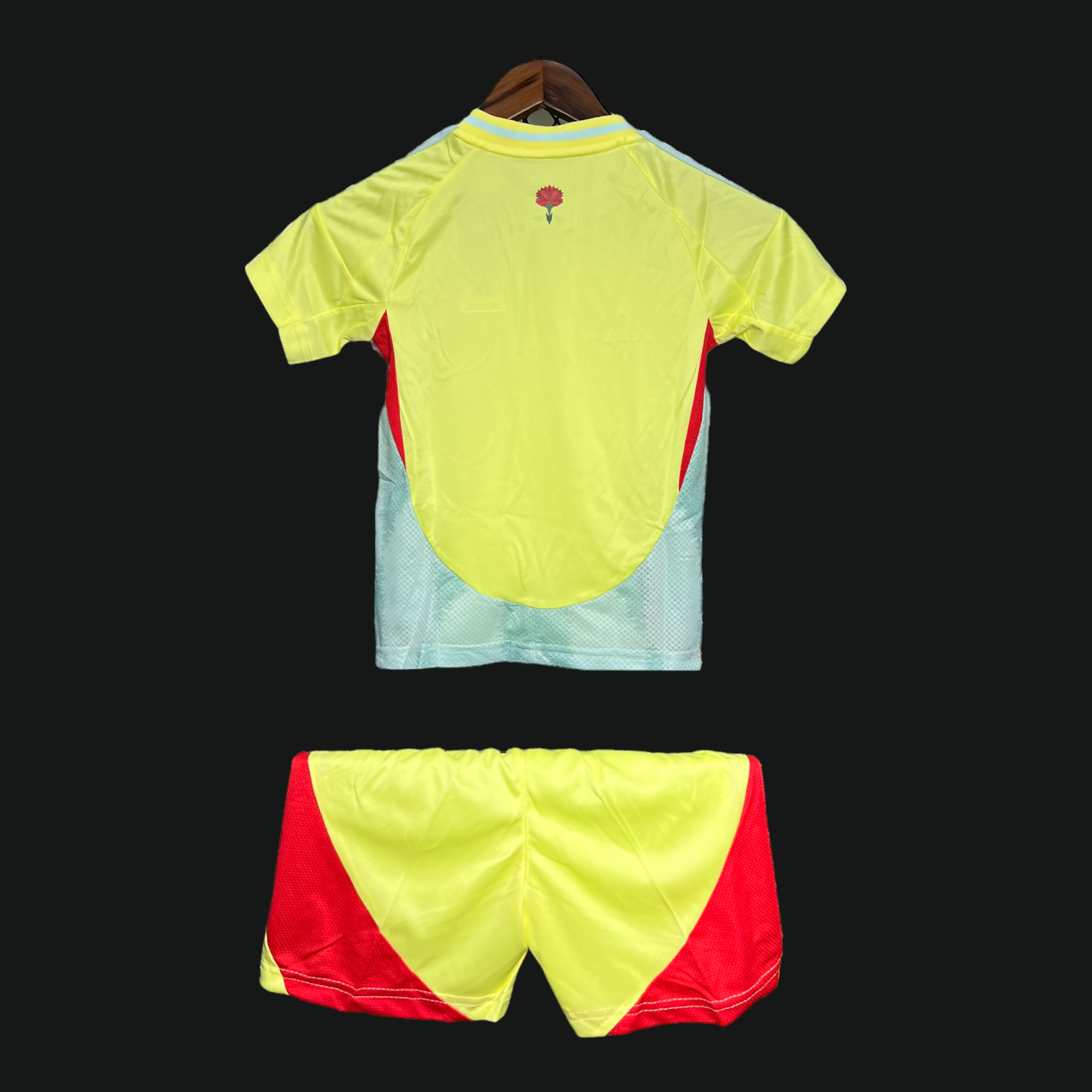 Espagne Maillot Extérieur 24/25 - Enfant