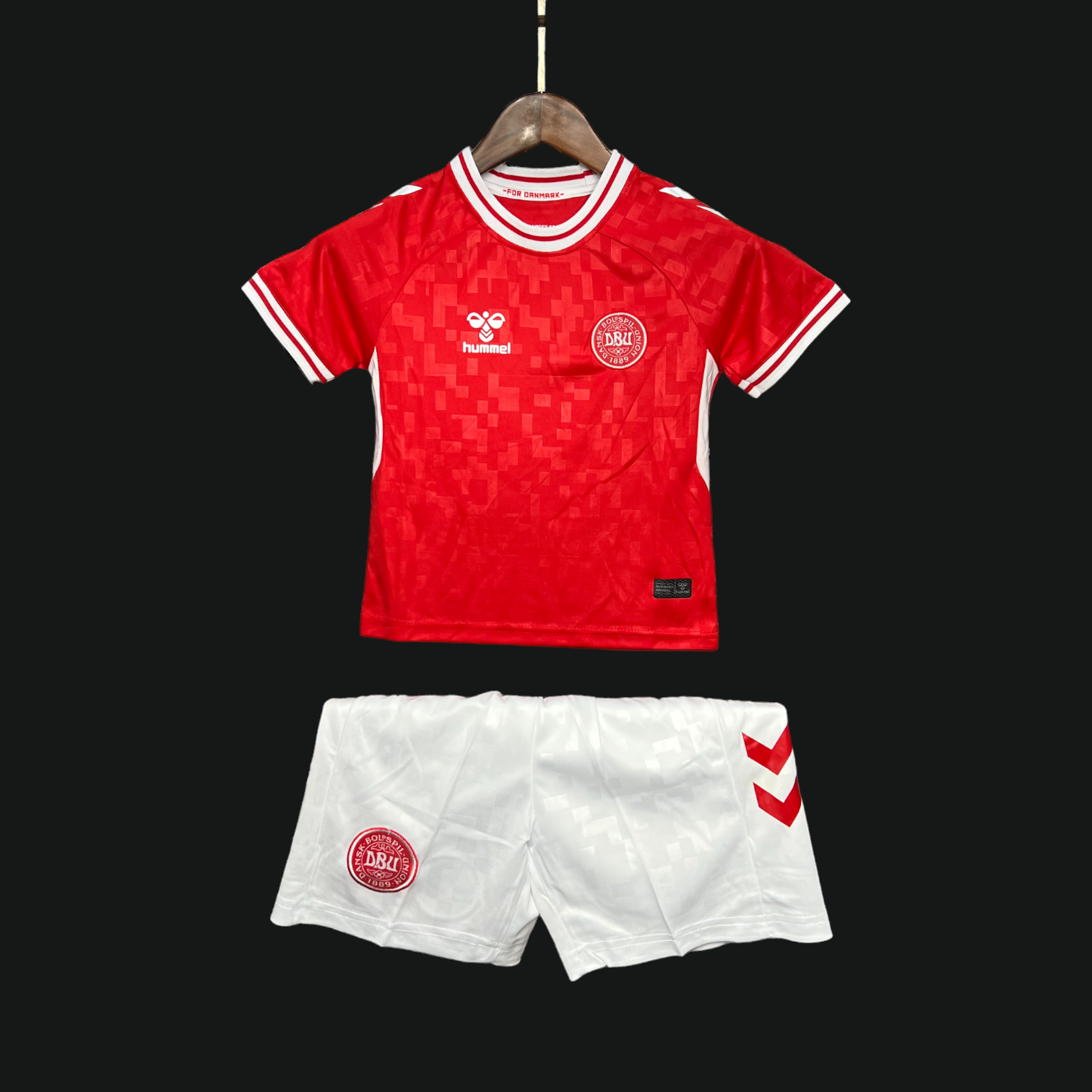 Danemark Maillot Domicile 24/25 - Enfant