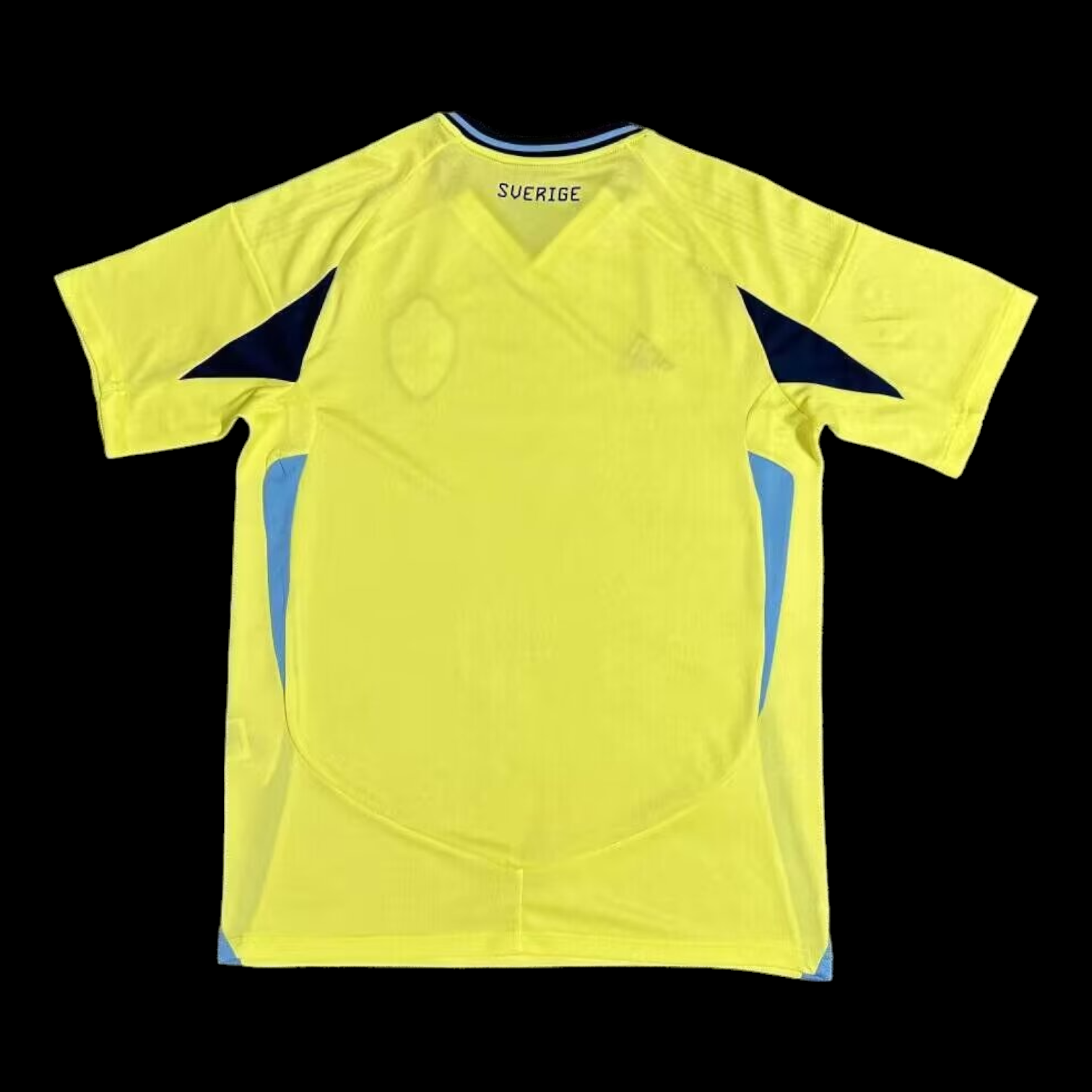 Suède Maillot Domicile 24/25