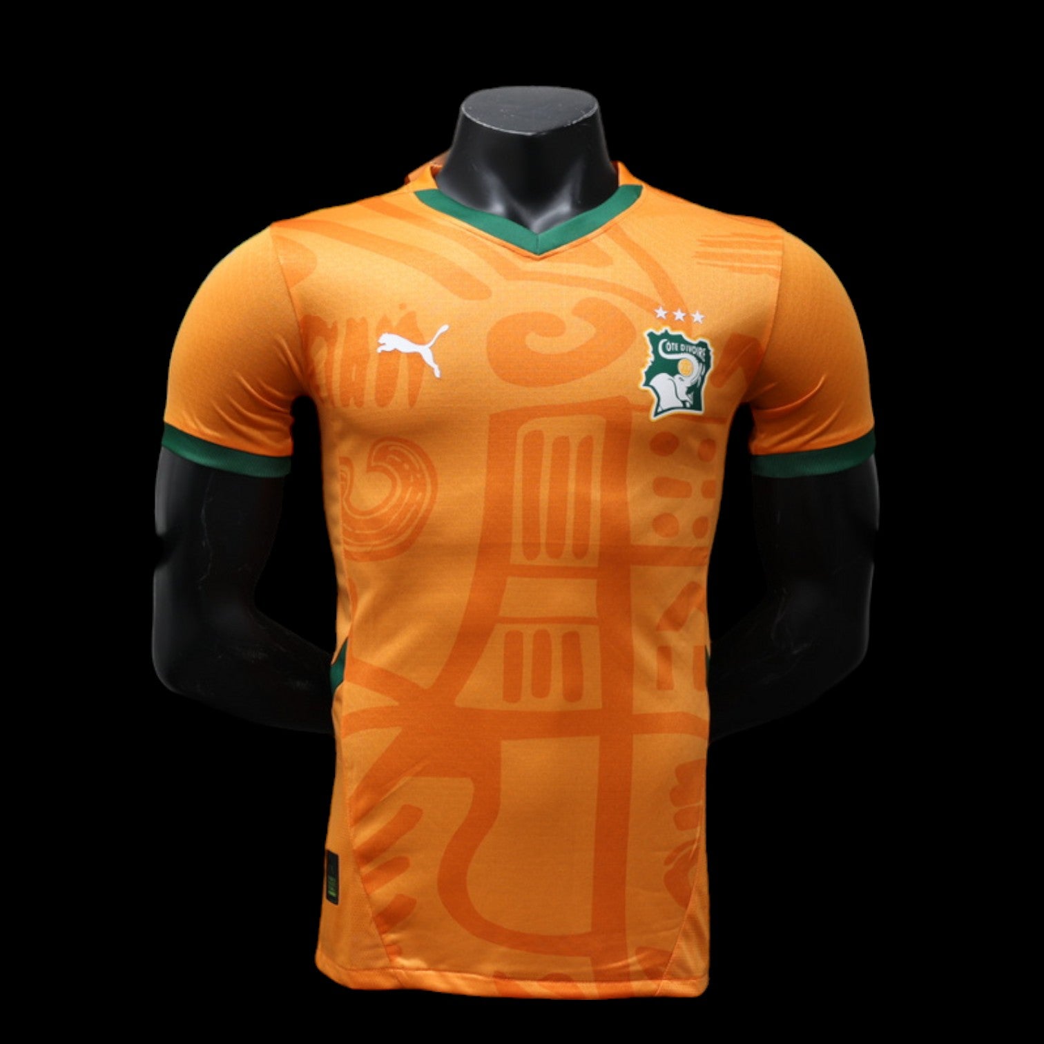 Cote d'Ivoire Maillot Domicile 24/25 - Version Player